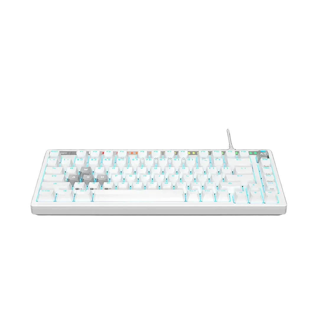 #Color_White