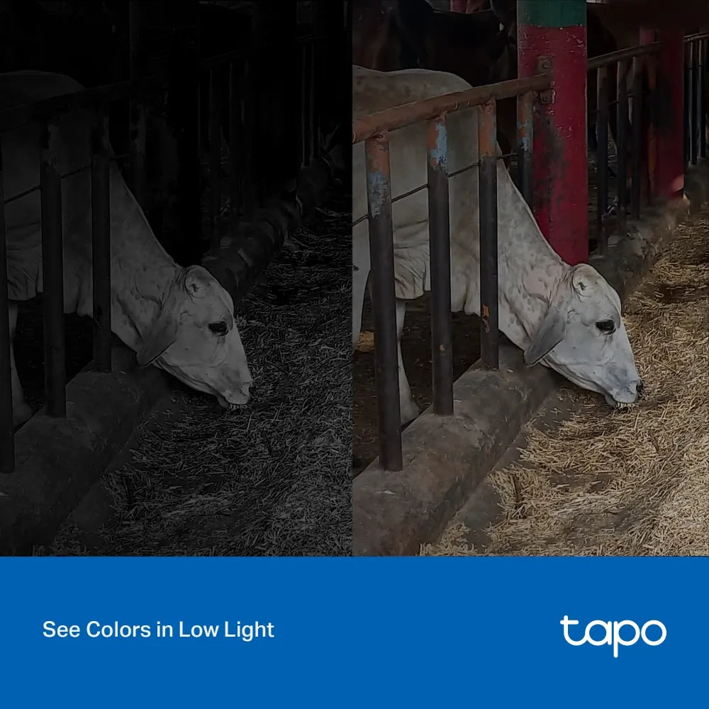 TP-Link Tapo C320WS Outdoor Security Wi-Fi Camera - للتقنيات الحديثة TT TAB متجر