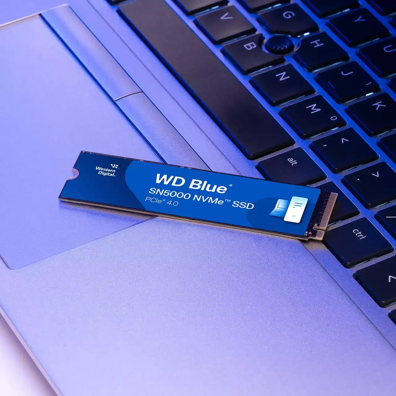 WD Blue SN5000 SSD NVMe Gen4 - للتقنيات الحديثة TT TAB متجر