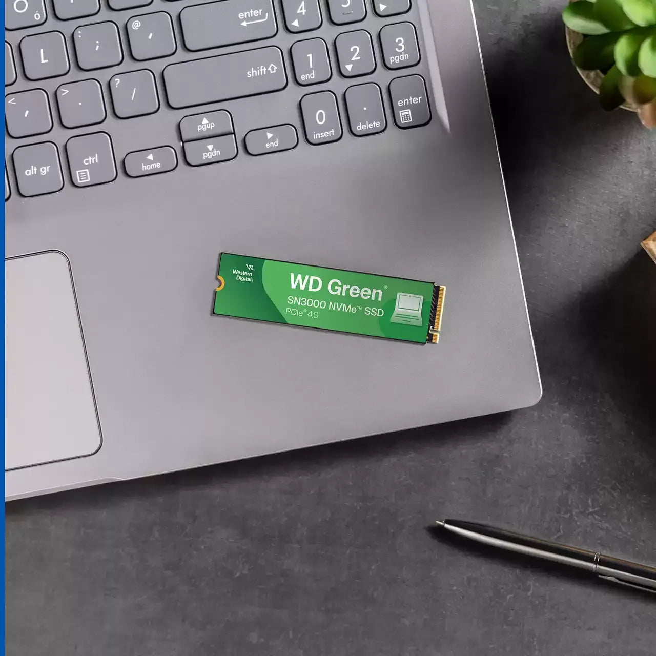 WD Green SN3000 SSD NVMe Gen4 - للتقنيات الحديثة TT TAB متجر