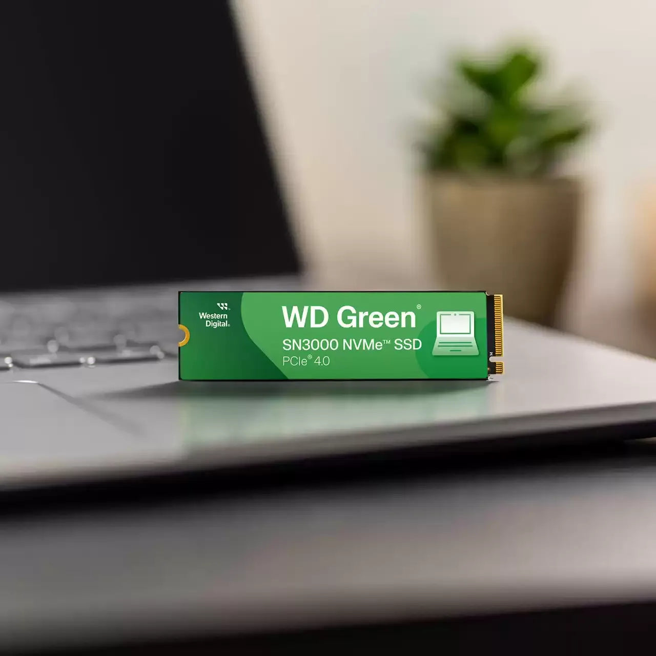 WD Green SN3000 SSD NVMe Gen4 - للتقنيات الحديثة TT TAB متجر