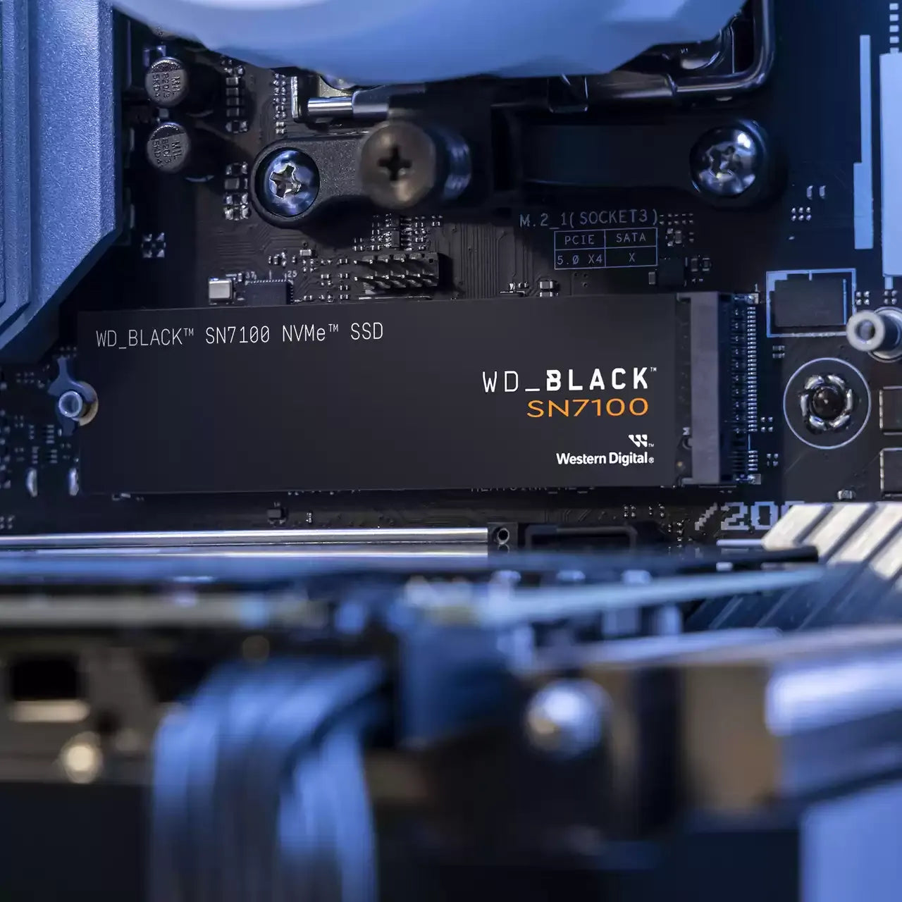 WD BLACK SN7100 SSD M.2 NVMe Gen4 - متجر TT Tab للتقنيات الحديثة