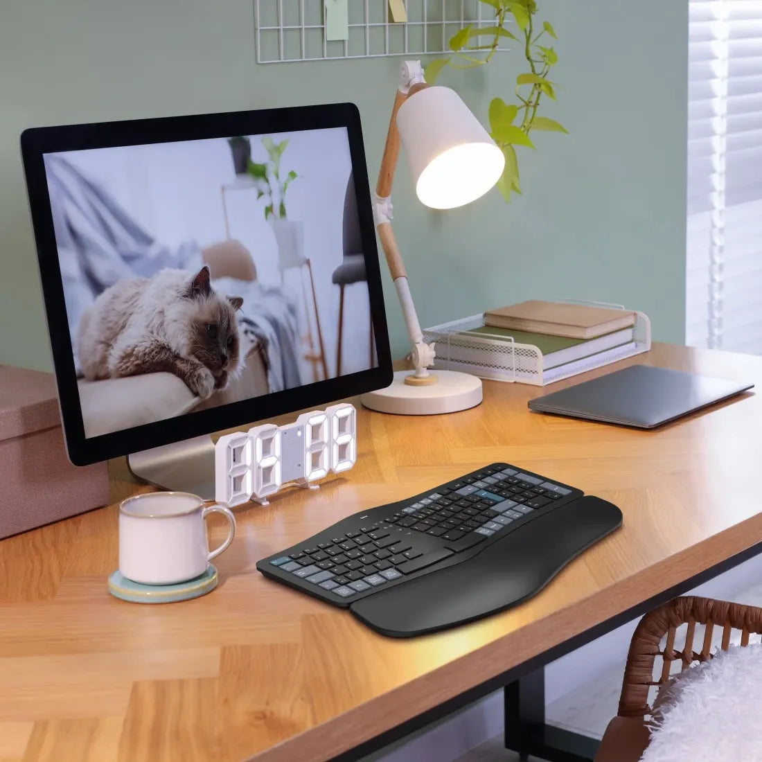 Hama WK-900 Ergo Multi-Device Wireless and Bluetooth Split Ergonomic Keyboard with Backlight - متجر TT Tab للتقنيات الحديثة