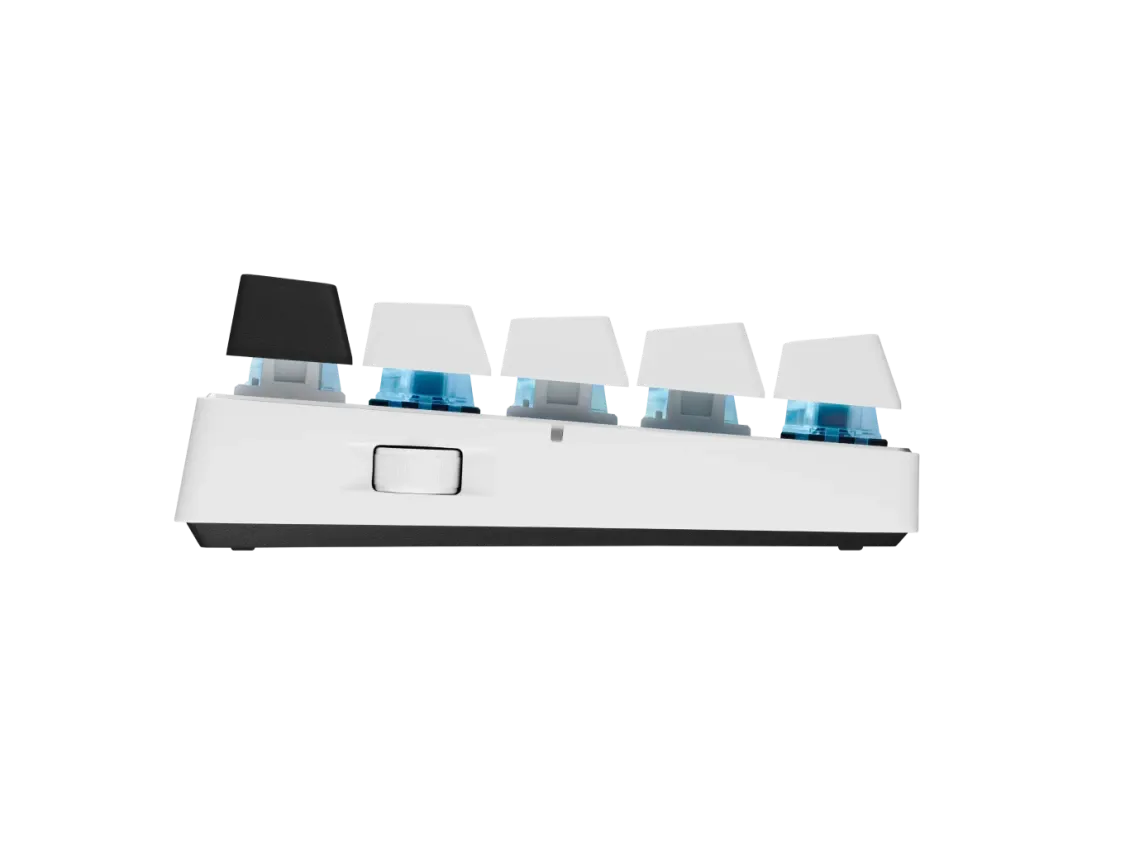 #Color_White