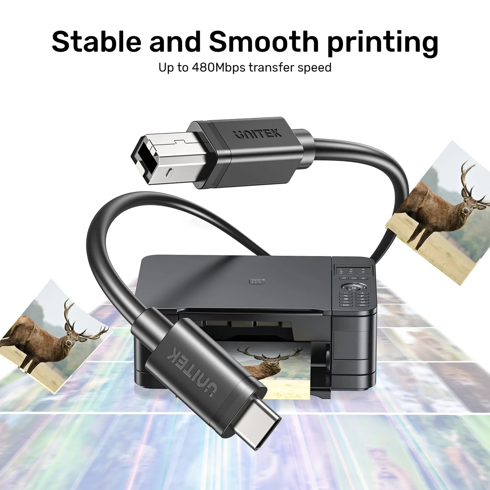 USB-C to USB-B Data and Charging Cable